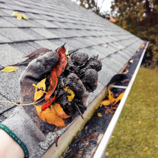 Gutter Cleaning